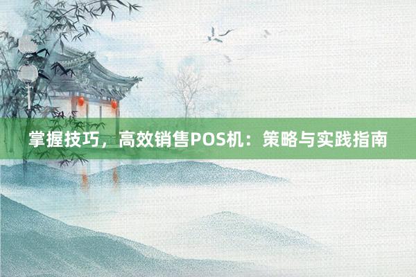 掌握技巧，高效销售POS机：策略与实践指南